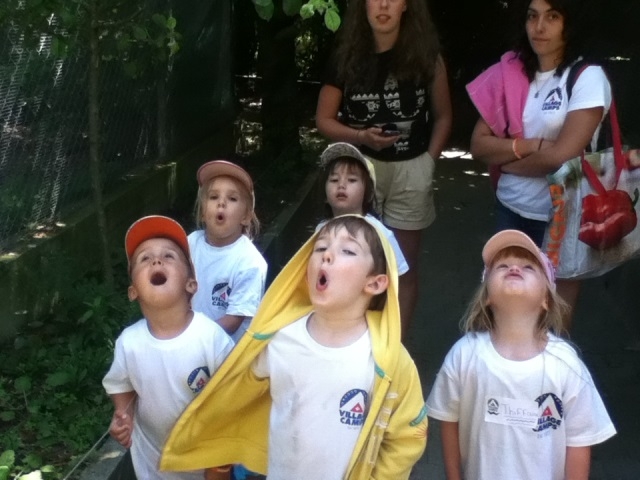 Village Camps International Summer Camp VDC Geneva 2016-08-12 https://www.villagecamps.com/journals_admin/images/823-34-photo 2.jpg